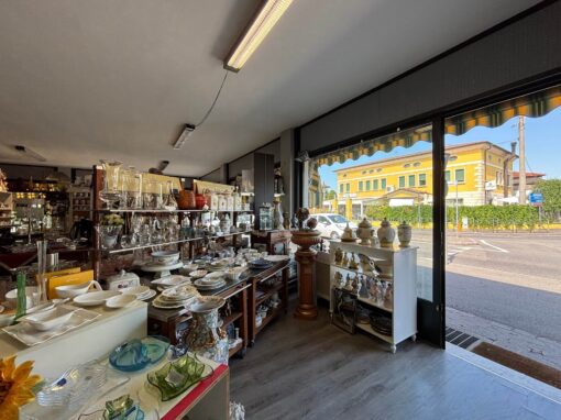 Villa e negozio <br> Ghedi – 1085